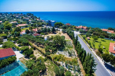 2500m² Land in Chalkidiki, Greece No. 59025 5