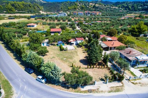2500m² Land in Chalkidiki, Greece No. 59025 15