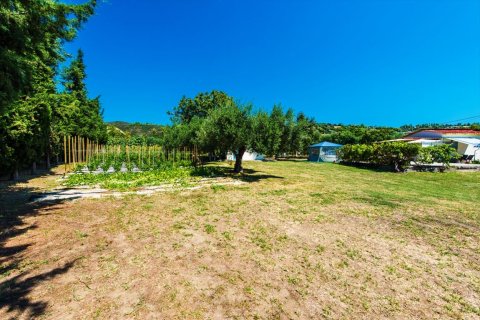 2500m² Land in Chalkidiki, Greece No. 59025 11