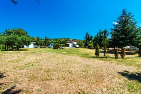 2500m² Land in Chalkidiki, Greece No. 59025 10