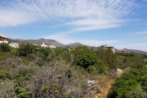 6000m² Land à Agios Nikolaos, Greece No. 57334 4