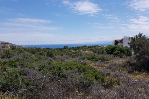 6000m² Land à Agios Nikolaos, Greece No. 57334 1