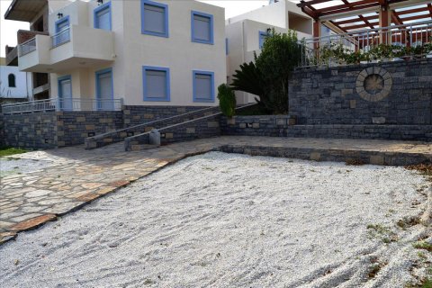 29 rooms Hotel in Lasithi, Greece No. 58956 4