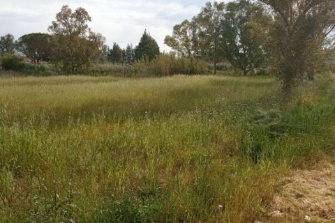 Land in Zakynthos, Greece No. 24522 17