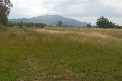 Land in Zakynthos, Greece No. 24522 19