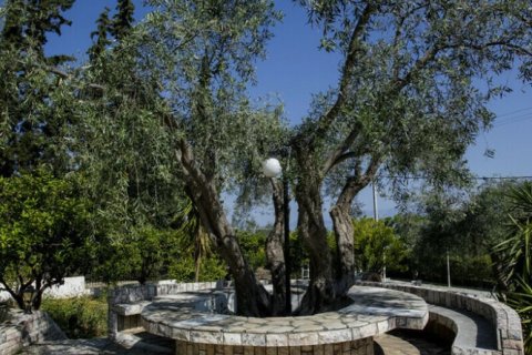 3 dormitorios House en Euboea, Greece No. 109030 27