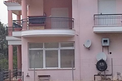 566m² House in Chalkidiki, Greece No. 108412 2