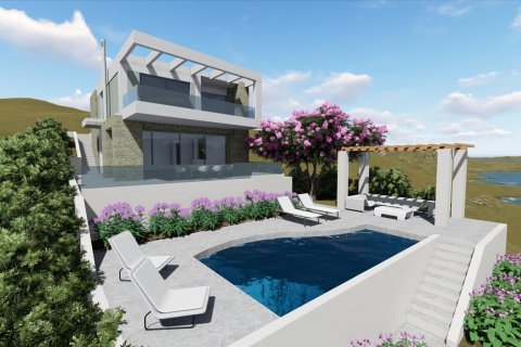 3 chambres Villa à Chalkidiki, Greece No. 109654 2