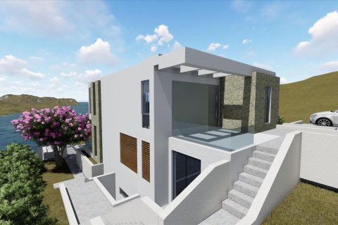 3 chambres Villa à Chalkidiki, Greece No. 109654 8