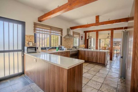 7 bedrooms House in Germasogeia, Cyprus No. 74502 3