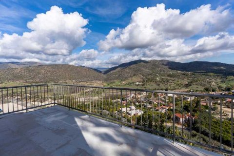 7 bedrooms House in Germasogeia, Cyprus No. 74502 10