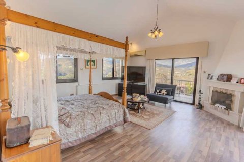 7 bedrooms House in Germasogeia, Cyprus No. 74502 1