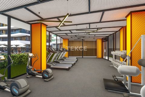 1 dormitorio Apartment en Chau Lang, Vietnam No. 12186 16