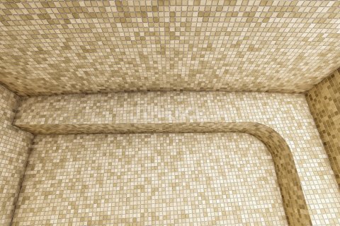 1 dormitorio Apartment en Chau Lang, Vietnam No. 12186 6