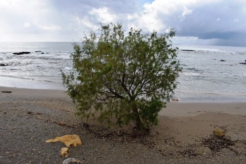 4089m² Land en Chania, Greece No. 57770 10