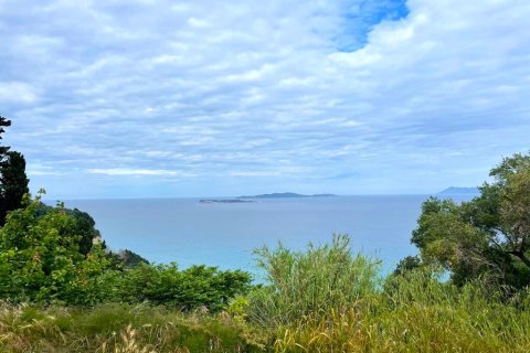 4337m² Land in Corfu, Greece No. 107755 2