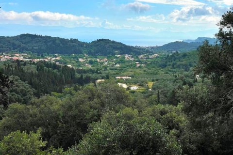 4337m² Land in Corfu, Greece No. 107755 6