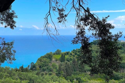 4337m² Land in Corfu, Greece No. 107755 3