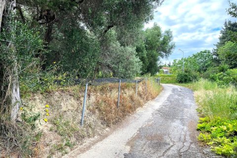 4337m² Land in Corfu, Greece No. 107755 8