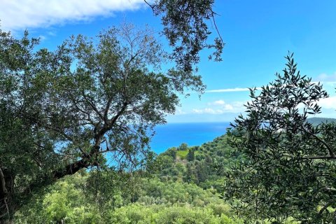 4337m² Land in Corfu, Greece No. 107755 13