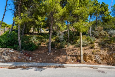 Land à El Camp De Mar, Spain No. 128441