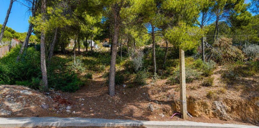 Land à El Camp De Mar, Spain No. 128441