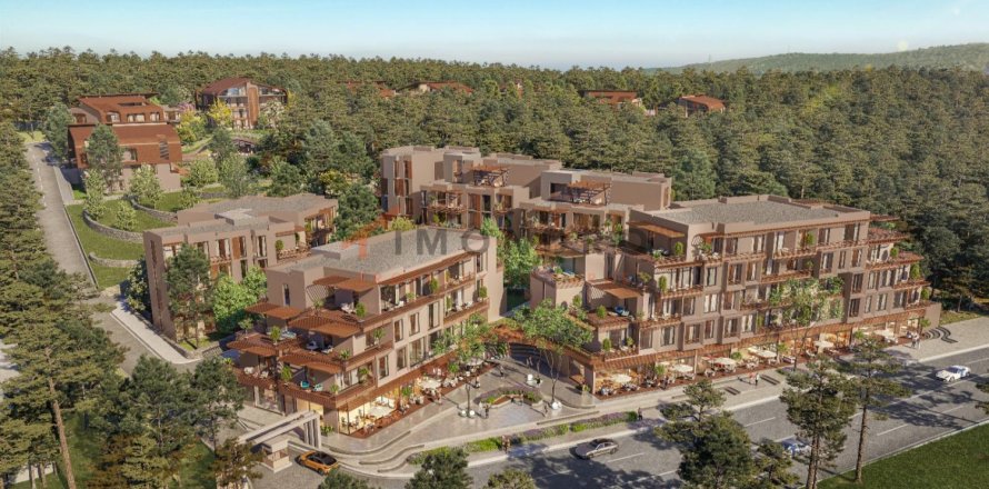 1 dormitorio Apartment en Phu An, Vietnam No. 20707