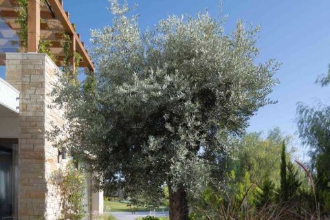 2 dormitorios House en Pegeia, Cyprus No. 76445 7