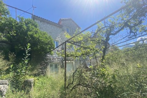 1983m² House in Kotor, Montenegro No. 104822 3