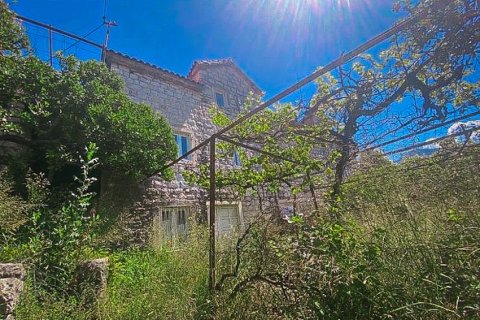 1983m² House in Kotor, Montenegro No. 104822 1