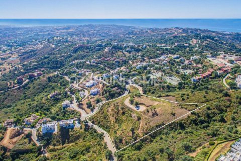 15399m² Land in Ham Cuong, Vietnam No. 25796 3