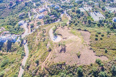 15399m² Land in Ham Cuong, Vietnam No. 25796 2