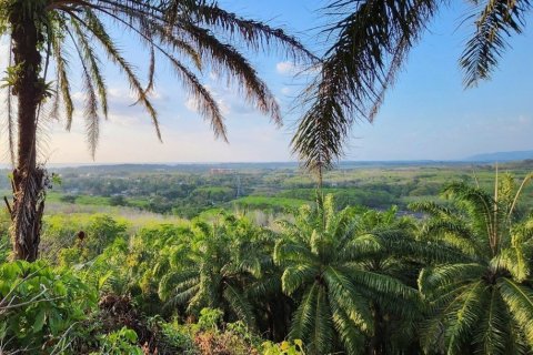 8000m² Land in Mai Khao, Thailand No. 97186 1