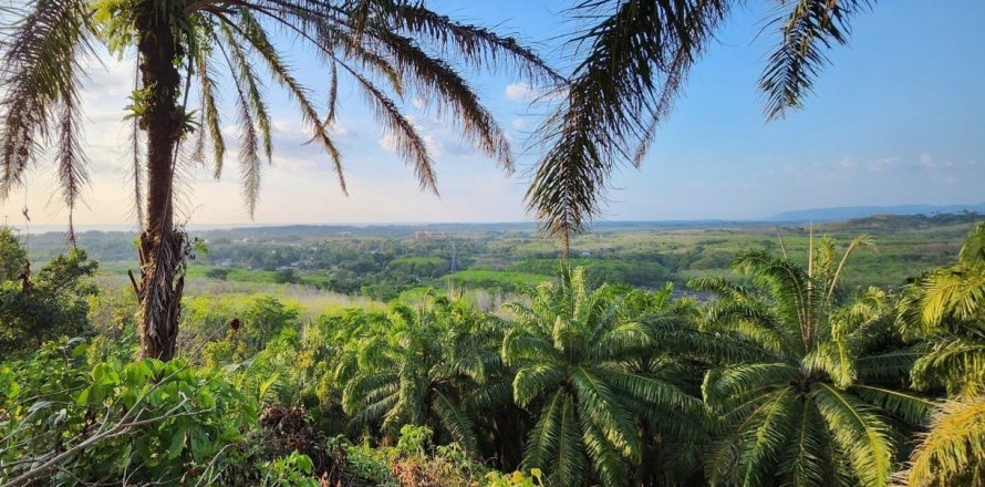 8000m² Land in Mai Khao, Thailand No. 97186