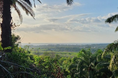 8000m² Land in Mai Khao, Thailand No. 97186 5