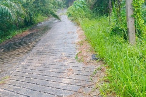 8000m² Land in Mai Khao, Thailand No. 97186 13