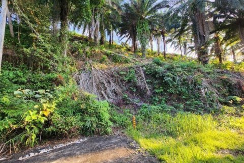 8000m² Land in Mai Khao, Thailand No. 97186 12