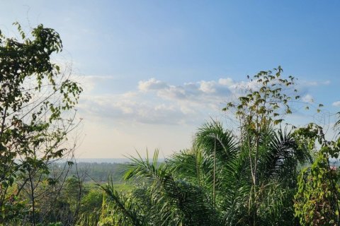 8000m² Land in Mai Khao, Thailand No. 97186 2