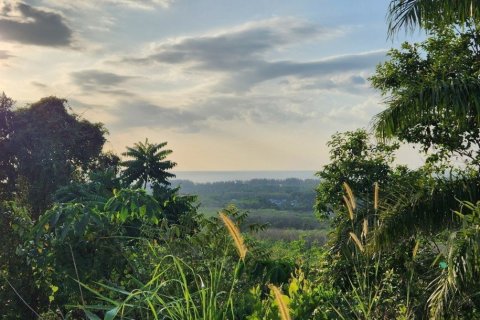 8000m² Land in Mai Khao, Thailand No. 97186 9