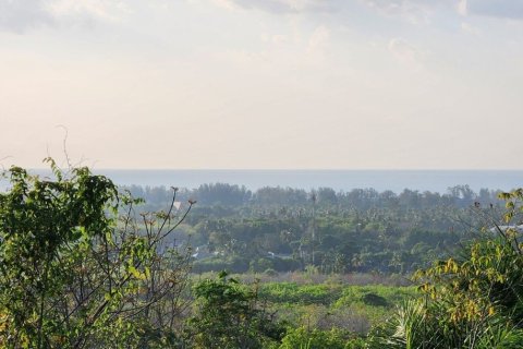 8000m² Land in Mai Khao, Thailand No. 97186 4