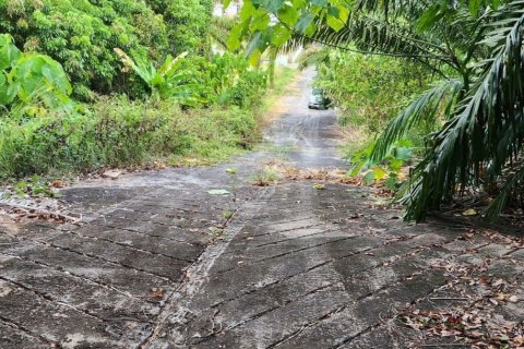 8000m² Land in Mai Khao, Thailand No. 97186 14