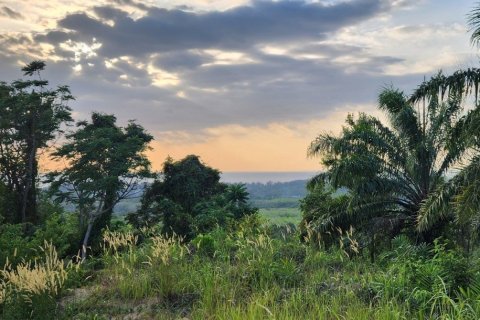 8000m² Land in Mai Khao, Thailand No. 97186 8