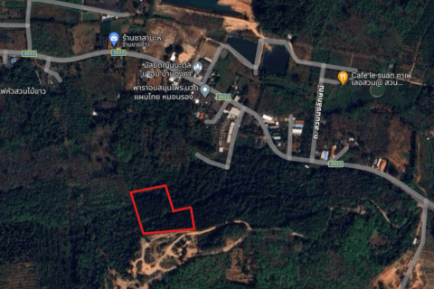 8000m² Land in Mai Khao, Thailand No. 97186 15