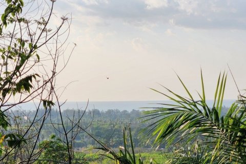 8000m² Land in Mai Khao, Thailand No. 97186 3