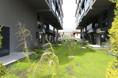 1 bedroom Penthouse in Phu Tan, Vietnam No. 16501 8