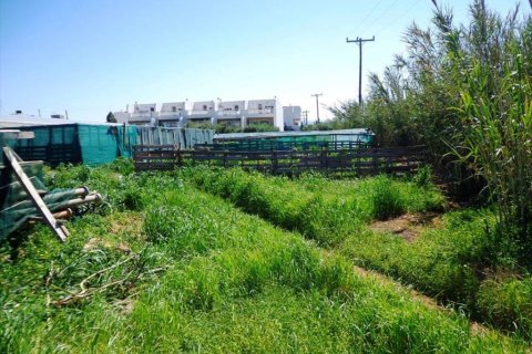 3783m² Land à Lasithi, Greece No. 59419 4