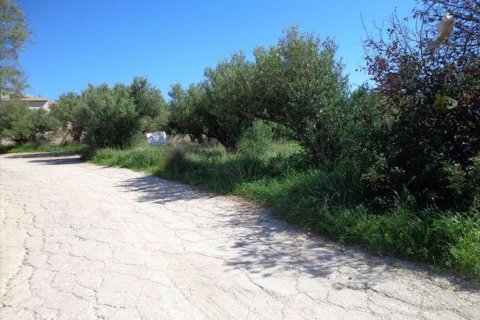 3783m² Land à Lasithi, Greece No. 59419 2