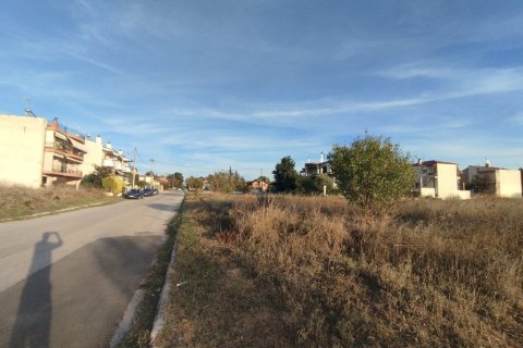 3025m² Land in Thessaloniki, Greece No. 55130 1