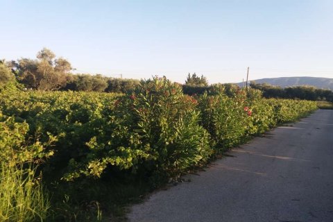 Land in Zakynthos, Greece No. 104858 4