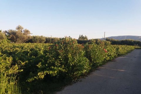 Land in Zakynthos, Greece No. 104858 5